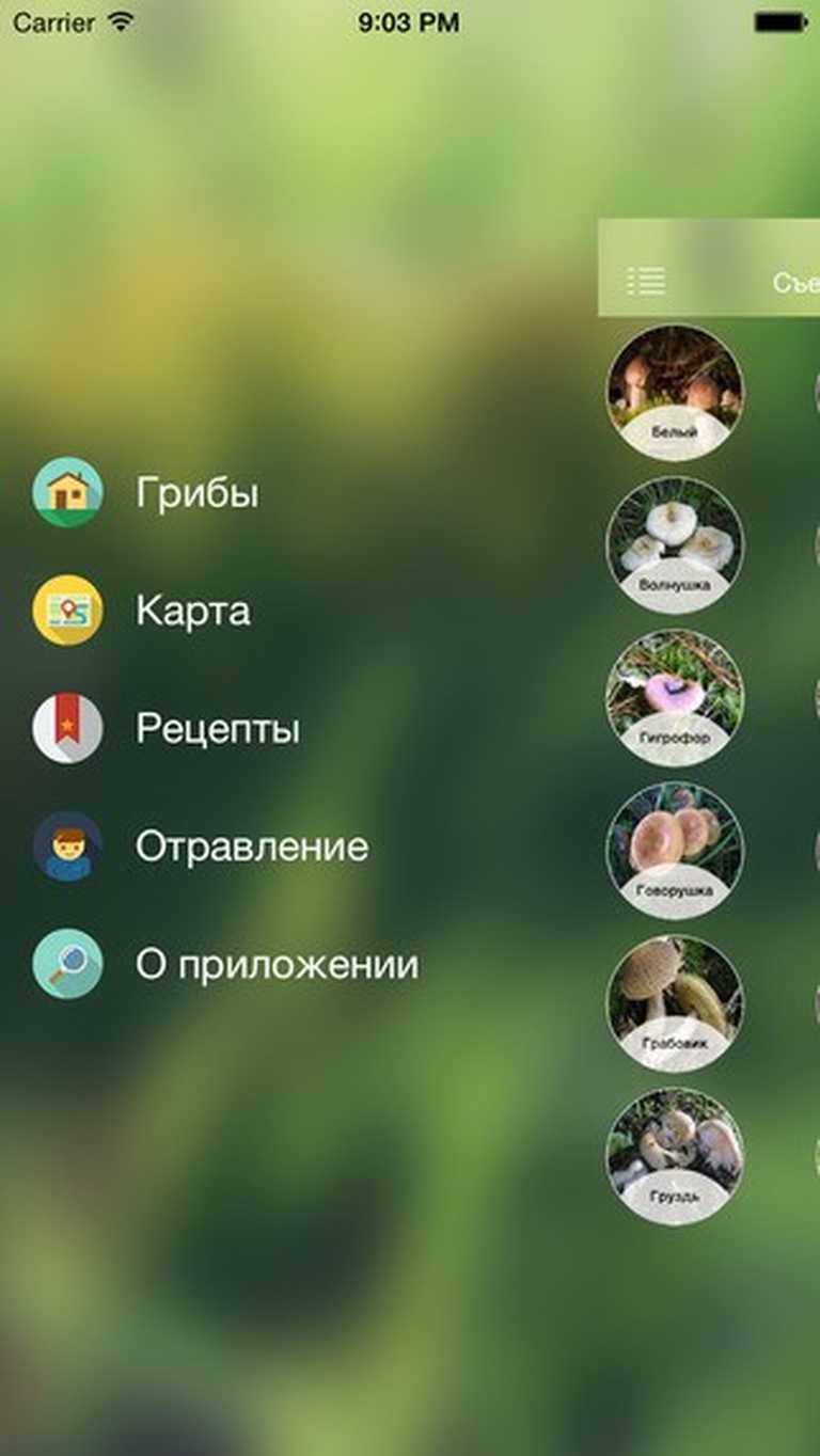 iГрибник: Грибы всего мира